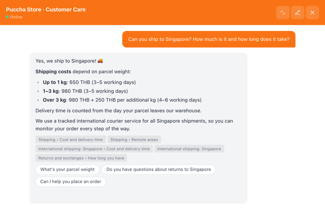 Ask the same question again, and it answers — Puccha Store (demo)